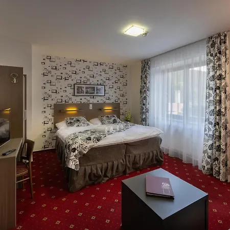 Hotel Zubr