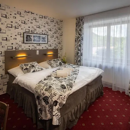 Hotel Zubr