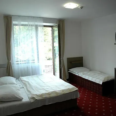 Hotel Zubr 3*