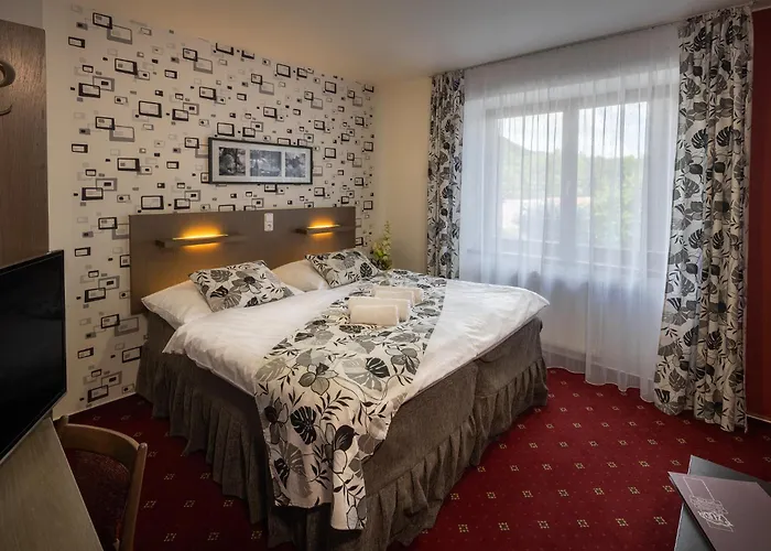 Hotel Zubr