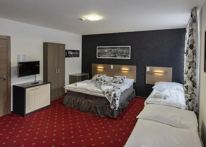Hotel Zubr 3*